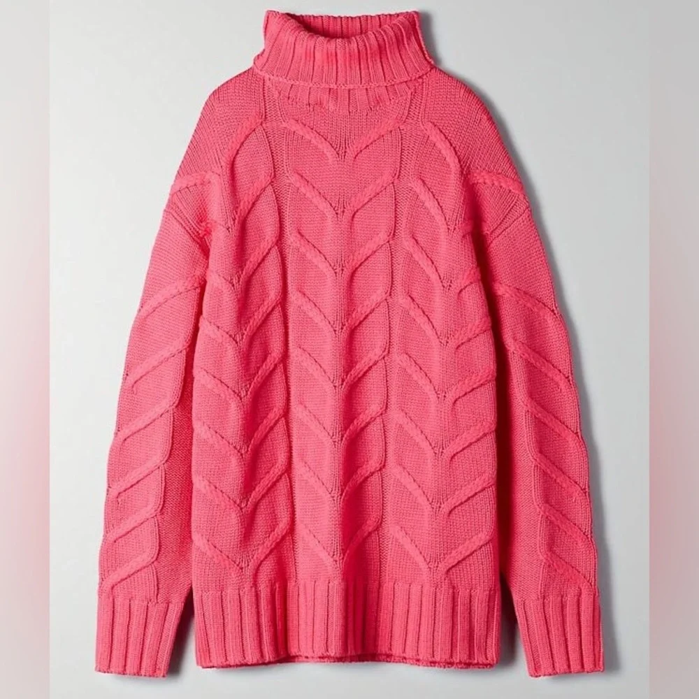 LAST CHANCE Aritzia Wilfred Champeaux Knit Turtleneck Sweater SZ XXS